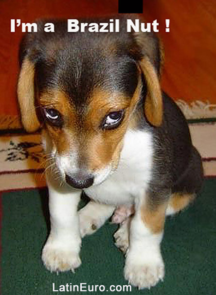 Date this lovely Brazil girl BR5122 from  BR5122