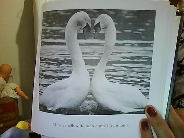 Date this pretty Brazil girl Carlanara from Caldas Novas BR3641