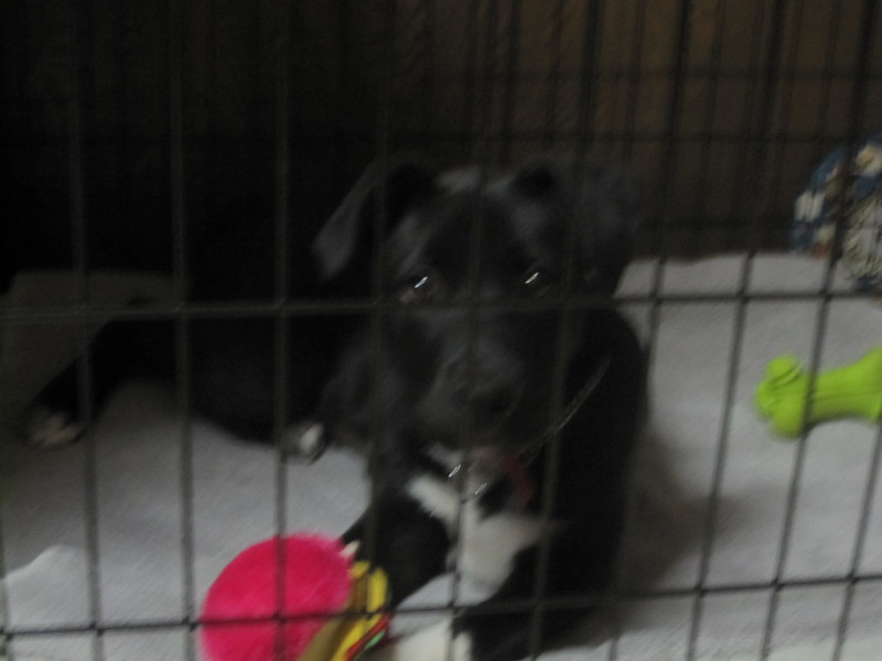 Date this young United States girl Flabra from San Diego US9259