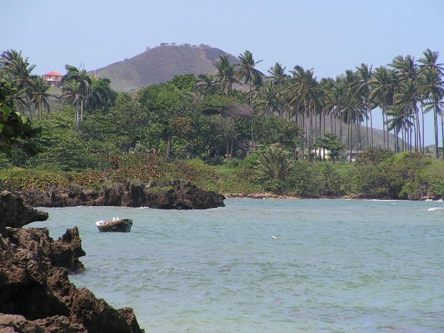 Date this hard body United States man Bpapi from Atlanta US11231