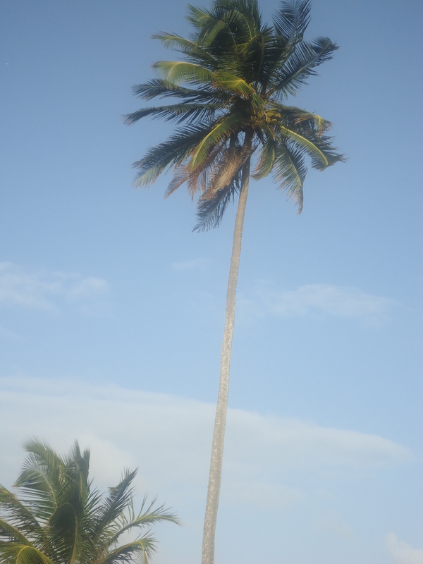 Date this sensual United States man Leocastro from Boston US11556