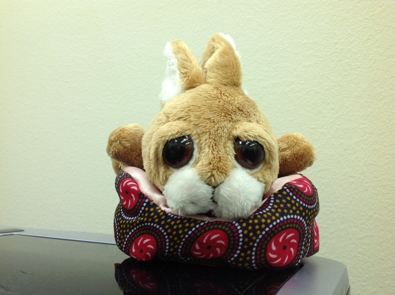 Date this charming United States man BUSCAR from VIRGINIA BEACH US11888