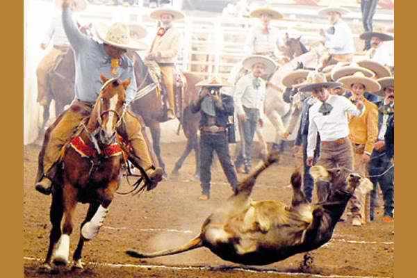 Date this sultry United States man Rachet89 from Sacramento US12186