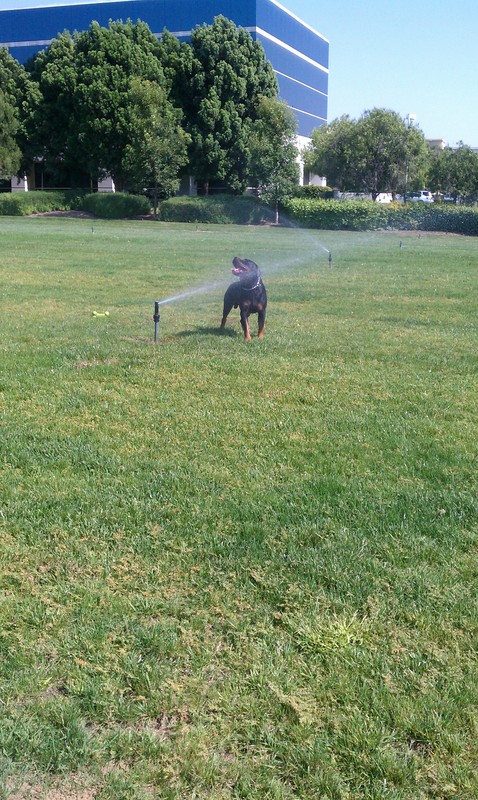 Date this exotic United States man Most from Los Angeles US12798