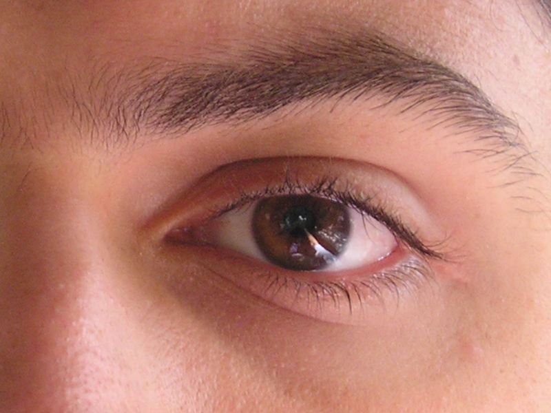 Date this georgeous United States man Eduardo81 from New York US15000