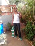 athletic Jamaica man Owen from Spalding JM2167