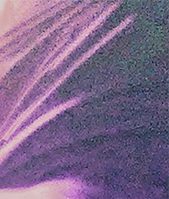 Date this lovely Argentina girl Ayelen from Buenos Aires AR195